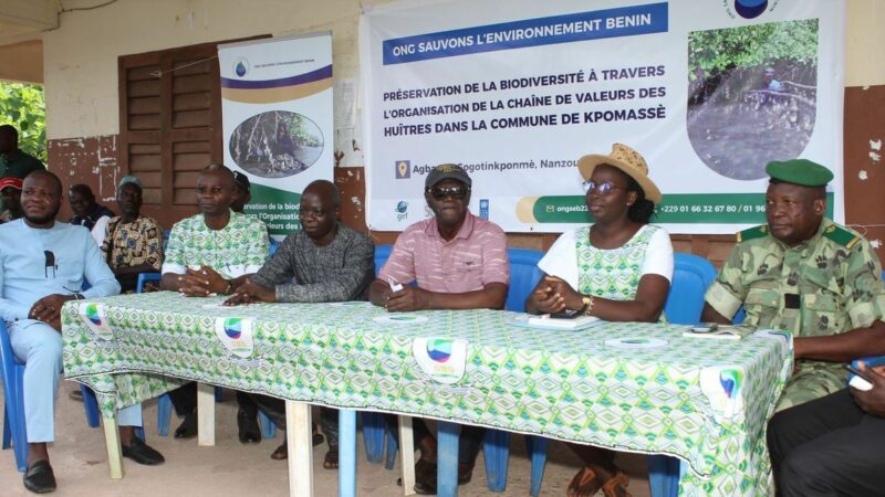 Préserver les huîtres, restaurer les mangroves : l’ONG Sauvons l’Environnement Bénin engage Kpomassè dans la sauvegarde de la biodiversité
